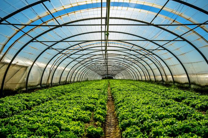 Agriculture